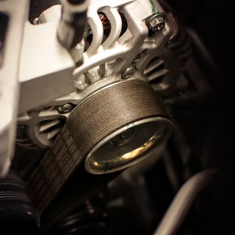 Case Alternator
